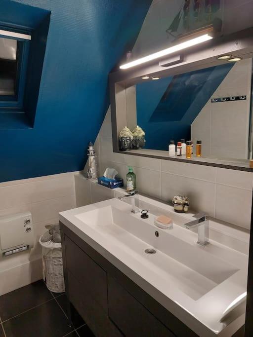 Bel Appartement 50 M2 Aux Portes De Strasbourg De 1 A 5 Personnes Chez Particuliers Avec 2 Sdb Coin Cuisine-Repas Et Kitchinette Prix Negociable Pour 1 Personne Vendenheim Extérieur photo